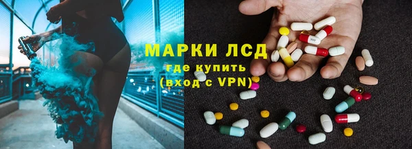 ПСИЛОЦИБИНОВЫЕ ГРИБЫ Арсеньев
