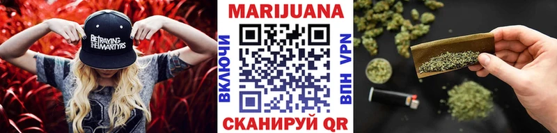 дарнет шоп  Короча  Бошки Шишки семена 